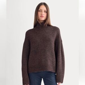 Everlane The Cloud Oversized Turtleneck Sweater